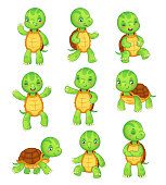 Cartoon turtle. Cute fun kids turtles, wild animals character set. Tortoise colorful isolated characters vector animal illustration collection