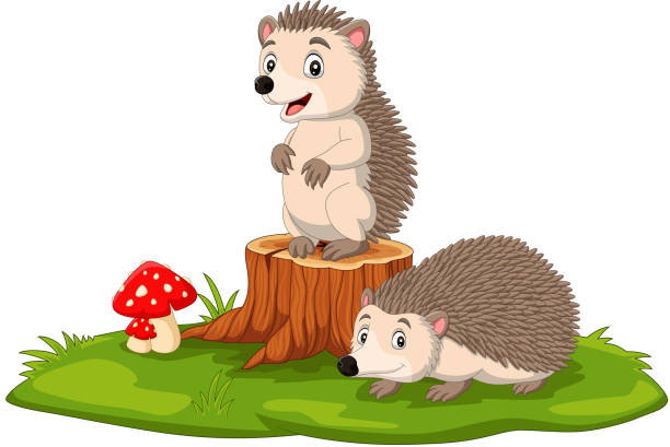 Cartoon two baby hedgehog on tree stump Vector illustration of Cartoon two baby hedgehog on tree stump hedgehog stock illustrations