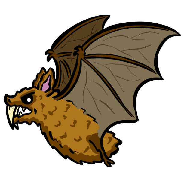 Cartoon Vampire Bat With Fangs Flying Illustration for Halloween vector art illustration
