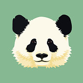 Cartoon vector illustration. Cute giant panda face. Black and white asian bear. Print, mask, poster design.