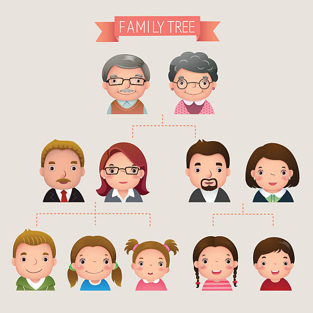 ilustraciones, imágenes clip art, dibujos animados e iconos de stock de vector ilustración de dibujos animados de árbol familiar - family tree