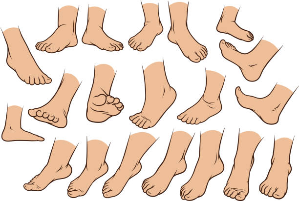 Cartoon white different foots vector icon set Cartoon white man or woman foots gesture set. Different foot positions. Vector icons. bare feet stock illustrations
