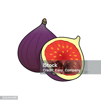 istock Cartoons fruit fig for kids This is a vector illustration for preschool and home training for parents and teachers. 1325245398