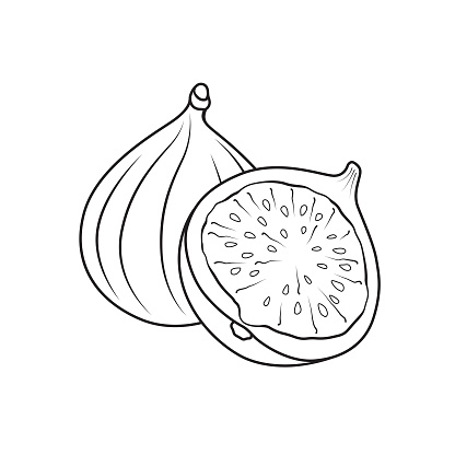 Cartoons fruit fig for kids This is a vector illustration for preschool and home training for parents and teachers.