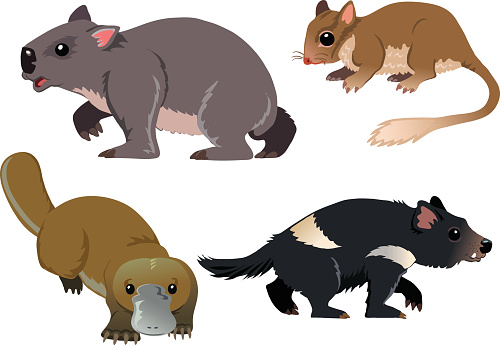 Cartoons of Four Native Australian Animals