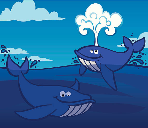 illustrations, cliparts, dessins animés et icônes de cartoony des baleines - event