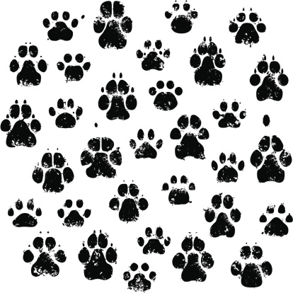 Cat And Dog Paw Prints