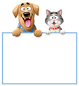 Vector illustration of a cheerful dog (Labrador) and a cute gray striped cat peeking over a blank sign, ready for your text. Concept for pets, animal friendship, domestic animals, veterinarians and pet shops.