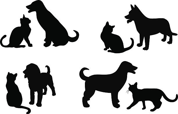 Cat And Dog A multi-image vector silhouette illustration of a pair of dog and cat friends. dog silhouettes stock illustrations