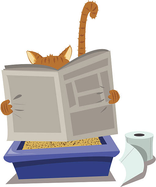 Cat and Litterbox a vector cartoon representing a funny cat looking for a moment of privacy kitten litter stock illustrations