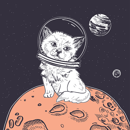 Cat astronaut is sitting on a red planet in space. Cosmic illustration.