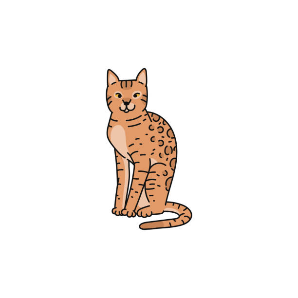 кошка породы бенгал контур эскиз каракуля иллюстрация. - bengals stock illustrations