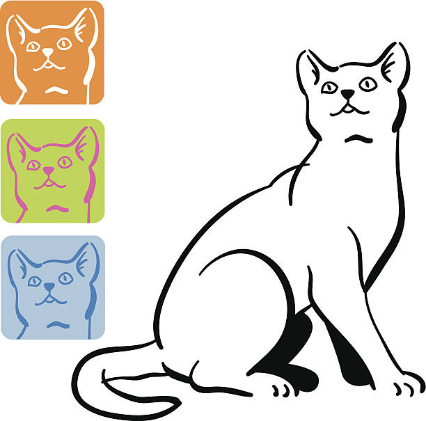 Best Cat Looking Up Illustrations, RoyaltyFree Vector Graphics & Clip