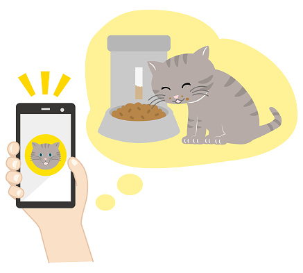 A cat eating cat food from an automatic feeder and a smartphone operating it