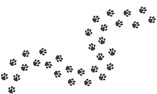 Cat footprints. Cats or dogs travel footprints. Black domestic animals paw prints isolated on white background. Vector illustration