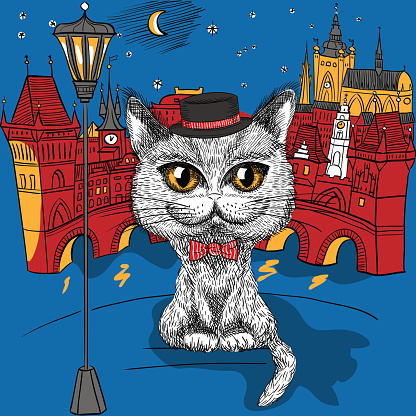 Cat in Prague, Prague Castle and Charles Bridge