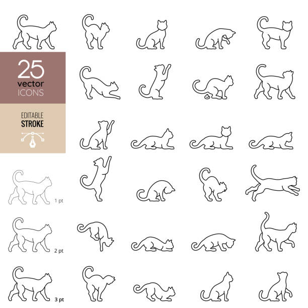Cat line icon set. Editable stroke.  cats stock illustrations