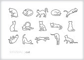Set of 15 cat line icon of house cats or feral felines sleeping, jumping, walking, cleaning, stretching, lounging and playing