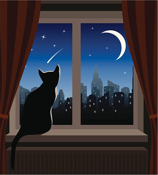 Cat Looking at Shooting Star Cat in Silouette Watching the Night City from Window. window silhouettes stock illustrations