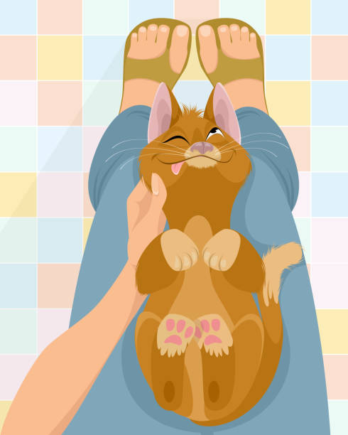 illustrazioni stock, clip art, cartoni animati e icone di tendenza di gatto in grembo alla padrona di casa - floor top view