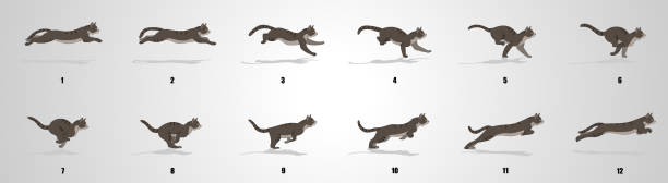Cat Run cycle animation Sequence Cat Running animation frames and sprite sheet,Silhouette running borders stock illustrations