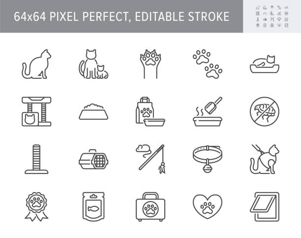 Cat stuff line icons. Vector illustration include icon - litter box, carrier, scratching post, bed, house, kitten, toy, meal outline pictogram for pet equip. 64x64 Pixel Perfect, Editable Stroke Cat stuff line icons. Vector illustration include icon - litter box, carrier, scratching post, bed, house, kitten, toy, meal outline pictogram for pet equip. 64x64 Pixel Perfect, Editable Stroke. kitten litter stock illustrations