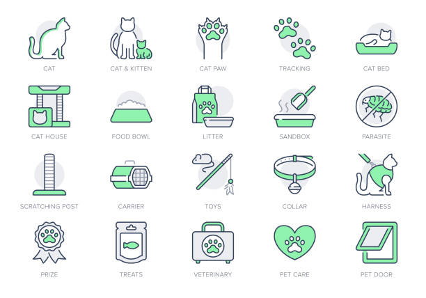 Cat stuff line icons. Vector illustration include icon - litter box, carrier, scratching post, bed, house, kitten, toy, meal outline pictogram for pet equip. Green Color, Editable Stroke Cat stuff line icons. Vector illustration include icon - litter box, carrier, scratching post, bed, house, kitten, toy, meal outline pictogram for pet equip. Green Color, Editable Stroke. kitten litter stock illustrations