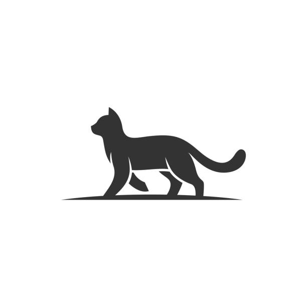 고양이 걷기 실루엣 디자인 개념 일러스트 벡터 템플릿 - 동물 신체 부분 stock illustrations