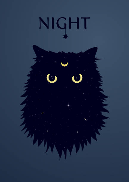 Cat with the crescent moon symbol on forehead. Angry cat silhouette with yellow eyes on the space background with stars and comets. Front view cat face. Vector Illustration. Cat with the crescent moon symbol on forehead. Angry cat silhouette with yellow eyes on the space background with stars and comets. Front view cat face. Vector Illustration. friday the 13th stock illustrations