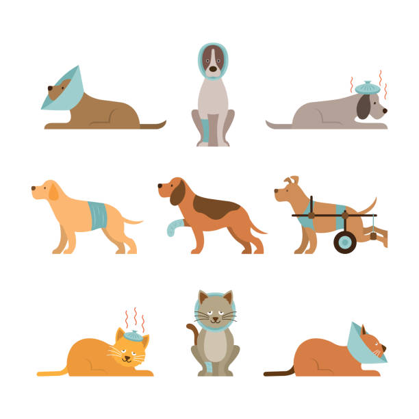 Cats and Dogs Get Sick vector art illustration