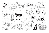 cats and dogs animals vector set