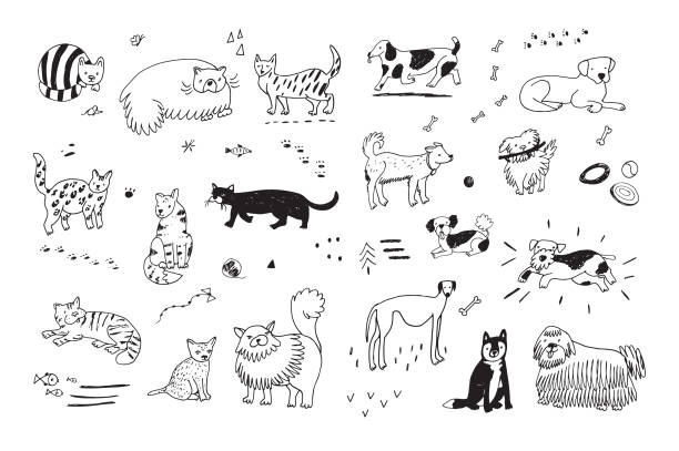 cats and dogs set cats and dogs animals vector set dog drawings stock illustrations