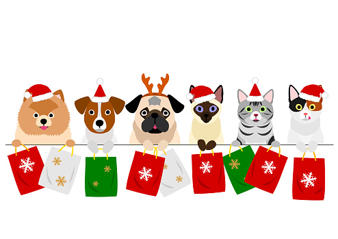 cats and dogs with Christmas shopping bags in a row