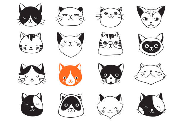 stockillustraties, clipart, cartoons en iconen met katten, verzameling van vector icons, hand getekende illustraties - dierenkop
