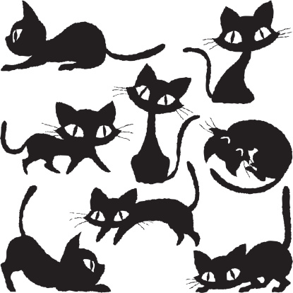 Cats of various
