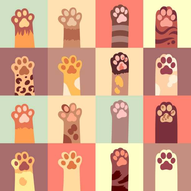 Cats paw vector flat icon set Cat s paw flat icon set in different color. Vector illustration animal leg stock illustrations
