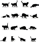 Cats Silhouette Illustration
