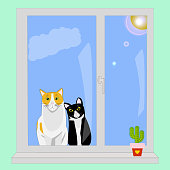 istock Cats sit outside the window and watch 1351679334