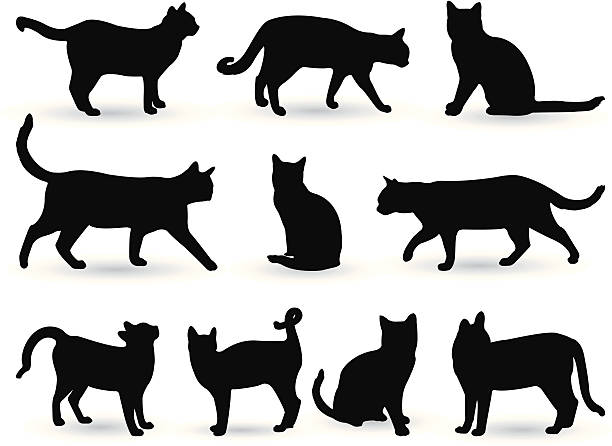 stockillustraties, clipart, cartoons en iconen met cats - kat