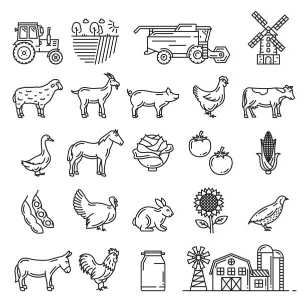 illustrazioni stock, clip art, cartoni animati e icone di tendenza di animali da allevamento e prodotti agricoli agricoli - alpeggio