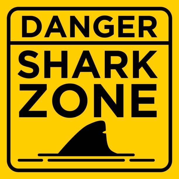 stockillustraties, clipart, cartoons en iconen met voorzichtigheid gevaar shark zone op het strand - strandbordjes