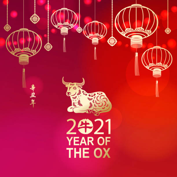 Celebrate the Year of the Ox 2021 with lights and gold colored Chinese lanterns and ox on the red background, the Chinese stamp means ox and the vertical Chinese phrase means Year of the Ox according to Chinese calendar