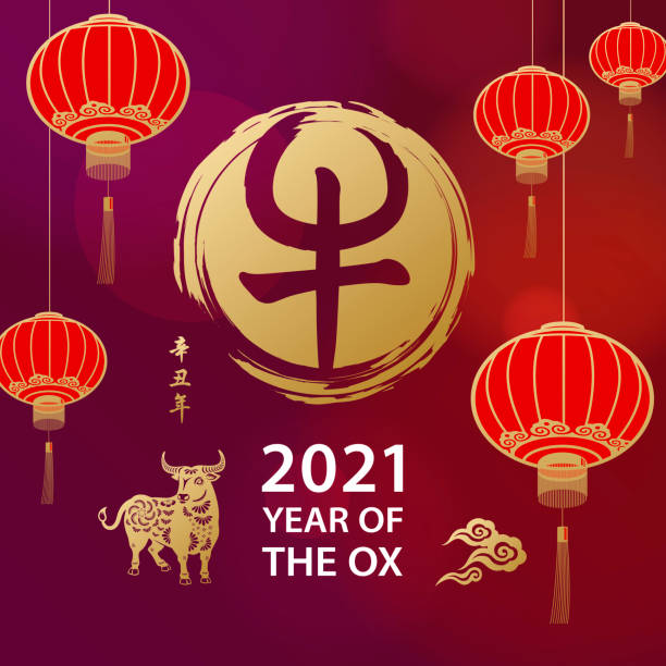 Celebrate Chinese New Year with Ox Celebrate the Year of the Ox 2021 with Chinese lanterns, gold colored ox and Chinese stamp on the red background, the Chinese stamp means ox and the vertical Chinese phrase means Year of the Ox according to Chinese calendar chinese lantern stock illustrations