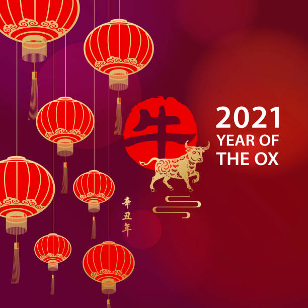Celebrate Chinese New Year with Ox Celebrate the Year of the Ox 2021 with Chinese lanterns, gold colored ox and Chinese stamp on the red background, the red stamp means ox and the vertical Chinese phrase means Year of the Ox according to Chinese calendar chinese lantern festival stock illustrations