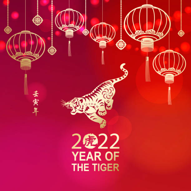 Celebrate the Year of the Tiger 2022 with lights and gold colored Chinese lanterns and tiger on the red background, the Chinese stamp means tiger and the vertical Chinese phrase means Year of the Tiger according to lunar calendar