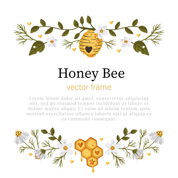 Celestialcp Honey bee cartoon frame border. Vector frame element. Greeting postcard advertisement divider. bee borders stock illustrations