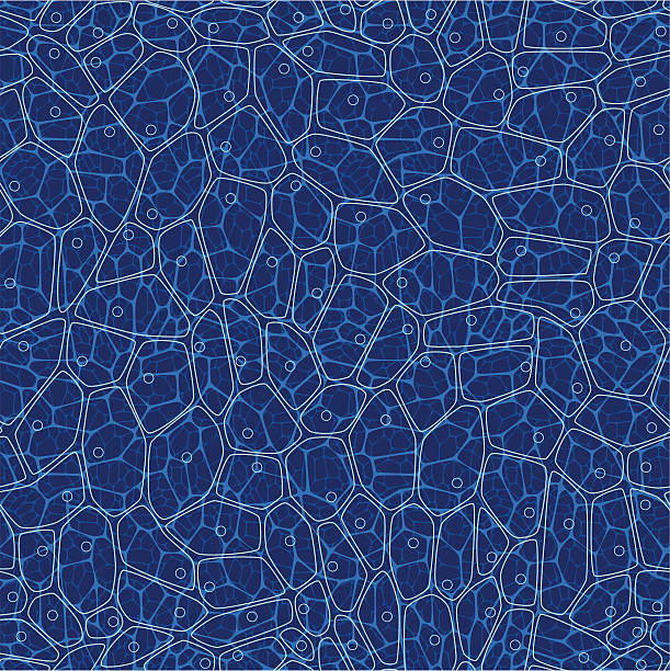 Cells. Seamless pattern. vector art illustration