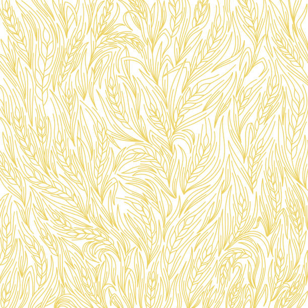 ilustrações de stock, clip art, desenhos animados e ícones de cereal plant pattern beige color wrapper background. ears of wheat. agriculture grain straw. contour line vector. - cereal field