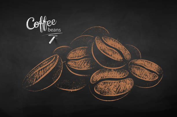 Chalk drawn sketch of pile of coffee beans Vector chalk drawn sketch of pile of coffee beans on chalkboard background. breakfast patterns stock illustrations