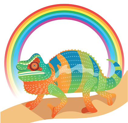 Chameleon and Rainbow